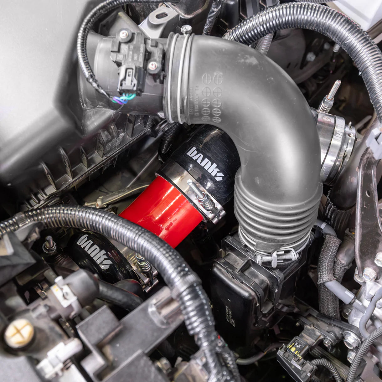 2024-2026 Toyota Tacoma, 4Runner, and Land Cruiser 2.4L Boost Tube Upgrade Kit