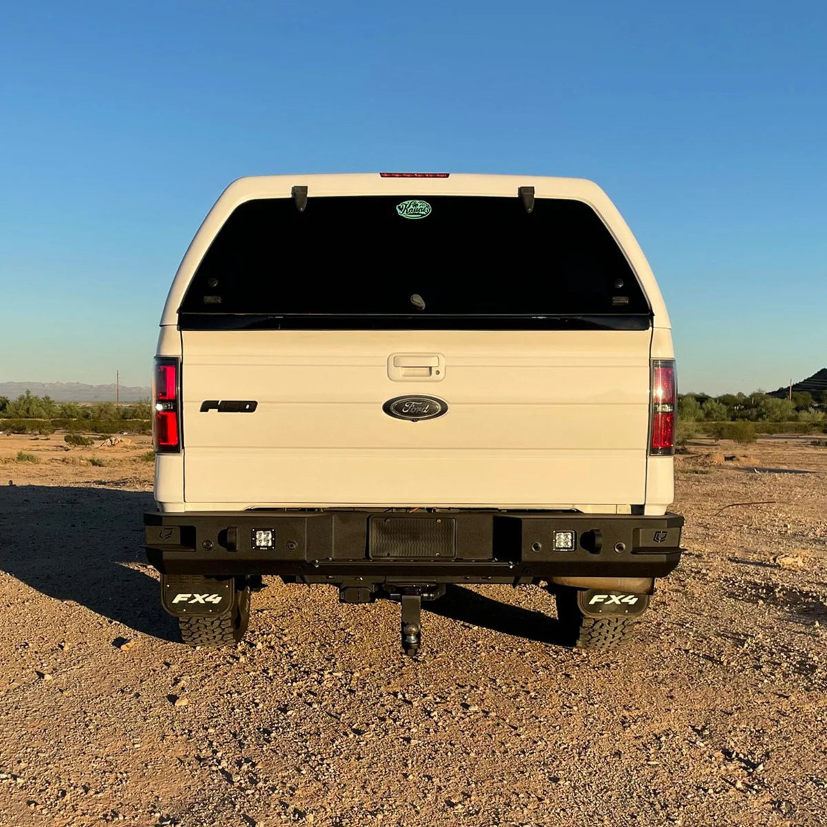 2009-2014 FORD F150 & RAPTOR OCTANE REAR BUMPER Front View