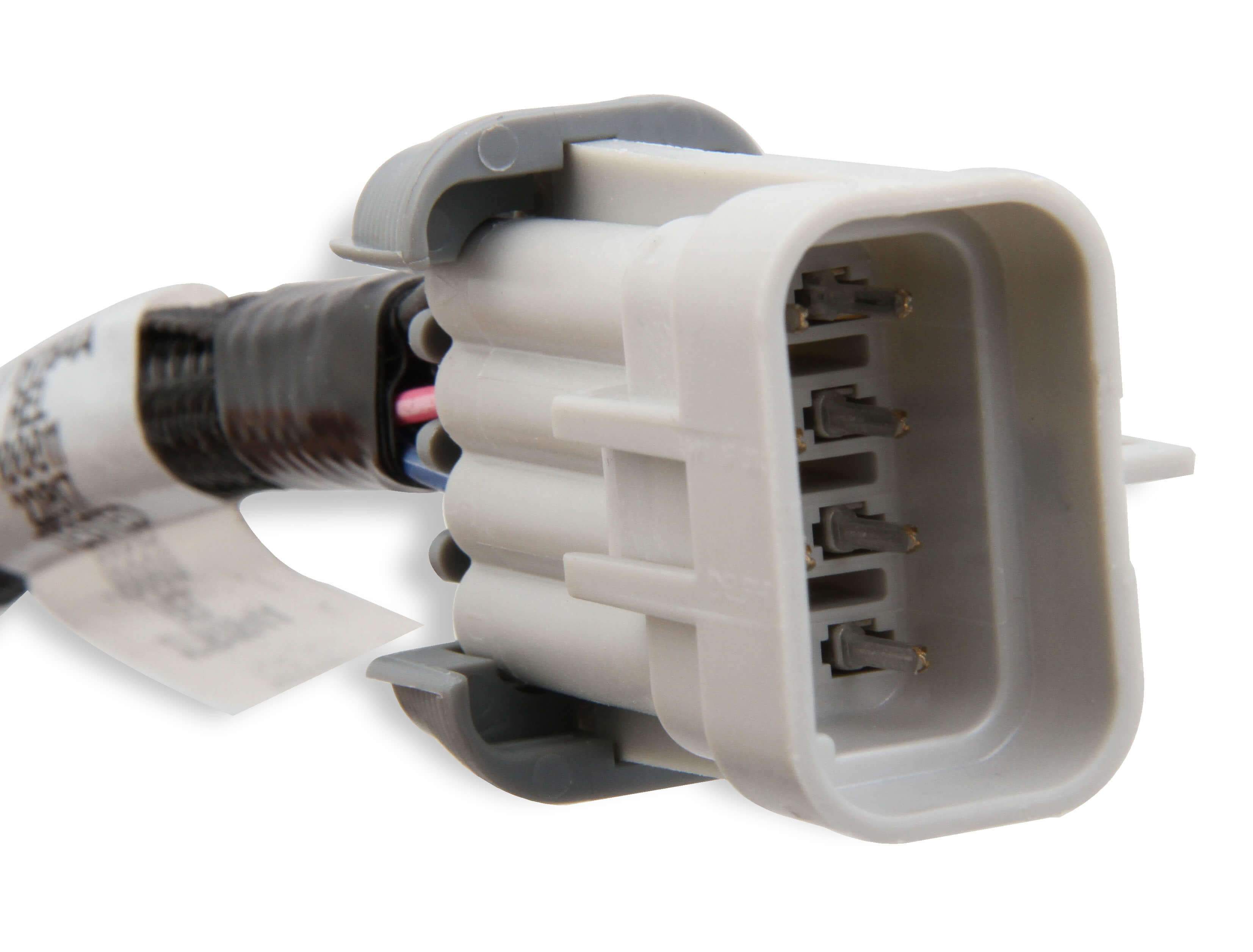 Holley LS Coil Harness Close-up Display