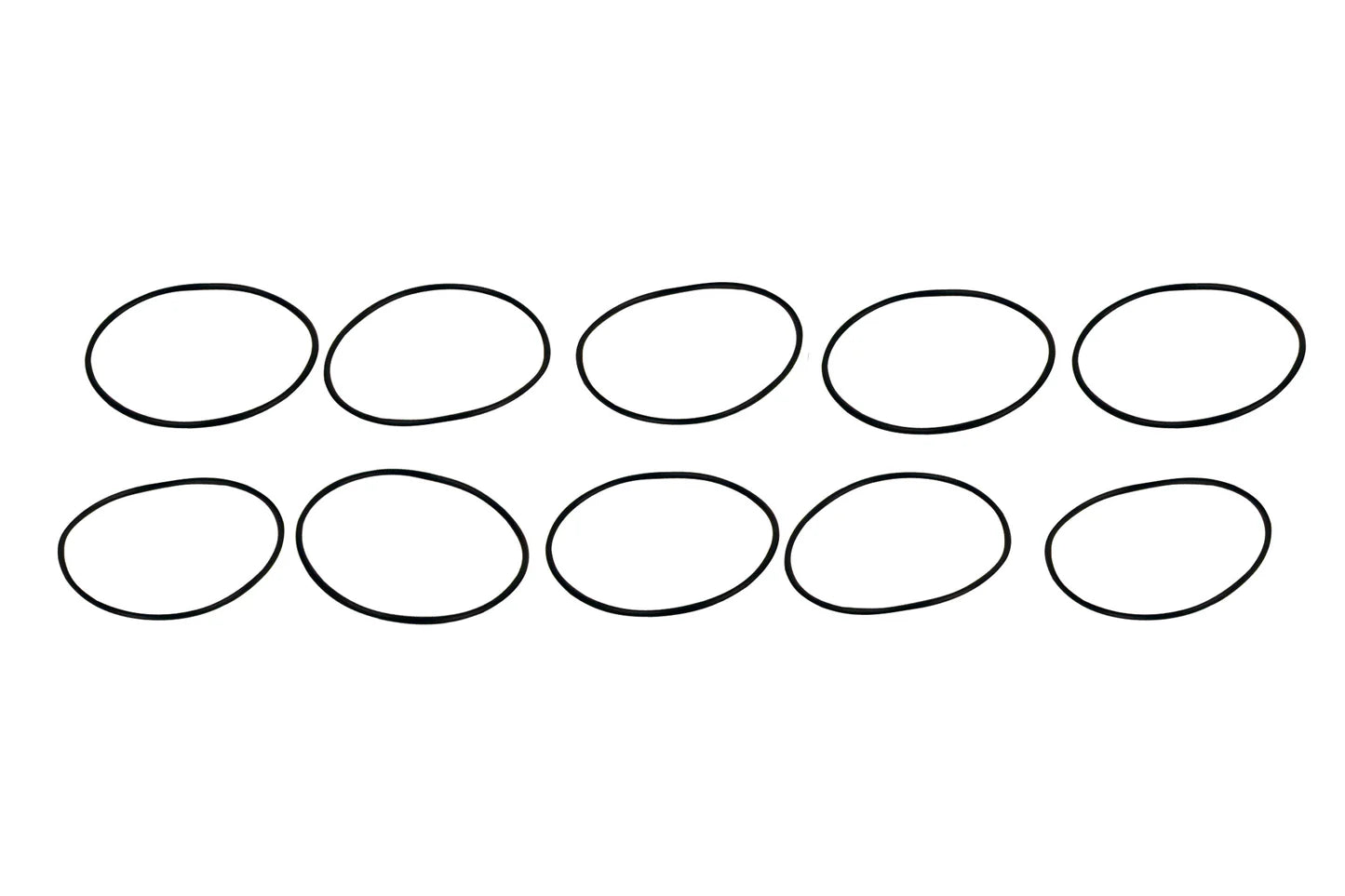 2" Filter Body 10-pack Replacement O-Rings Front View