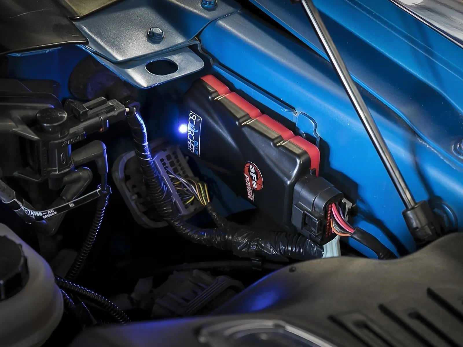 2024+ Ranger Raptor Scorcher Blue Bluetooth Power Module Front View