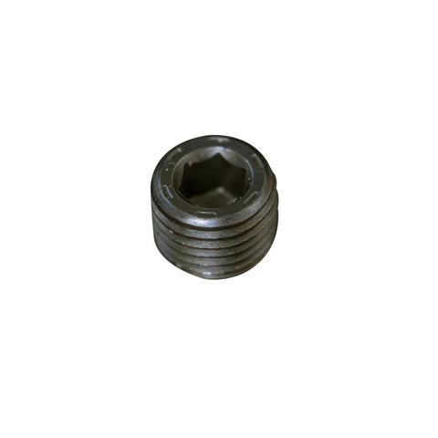 1/4" MPT Plug