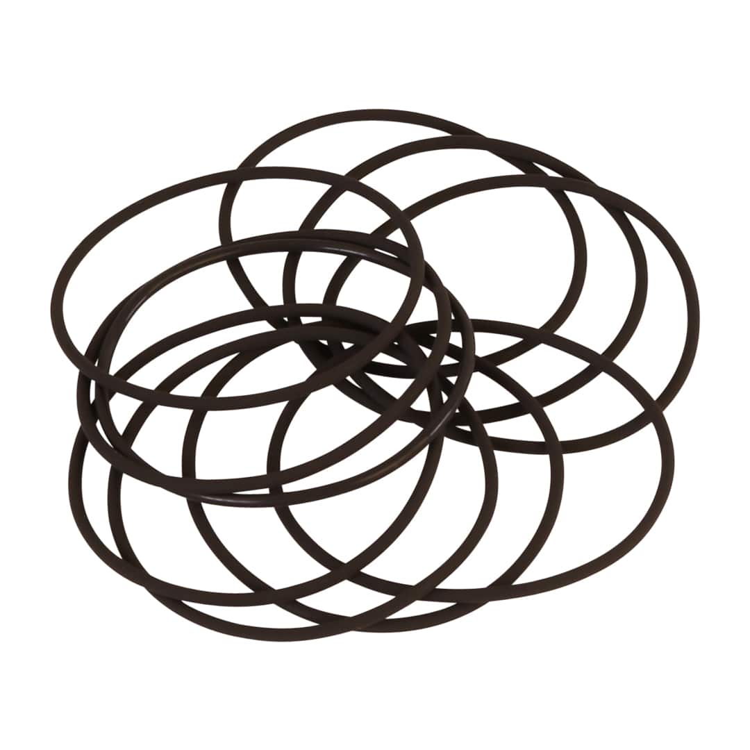 2" Filter Body 10-pack Replacement O-Rings Front View