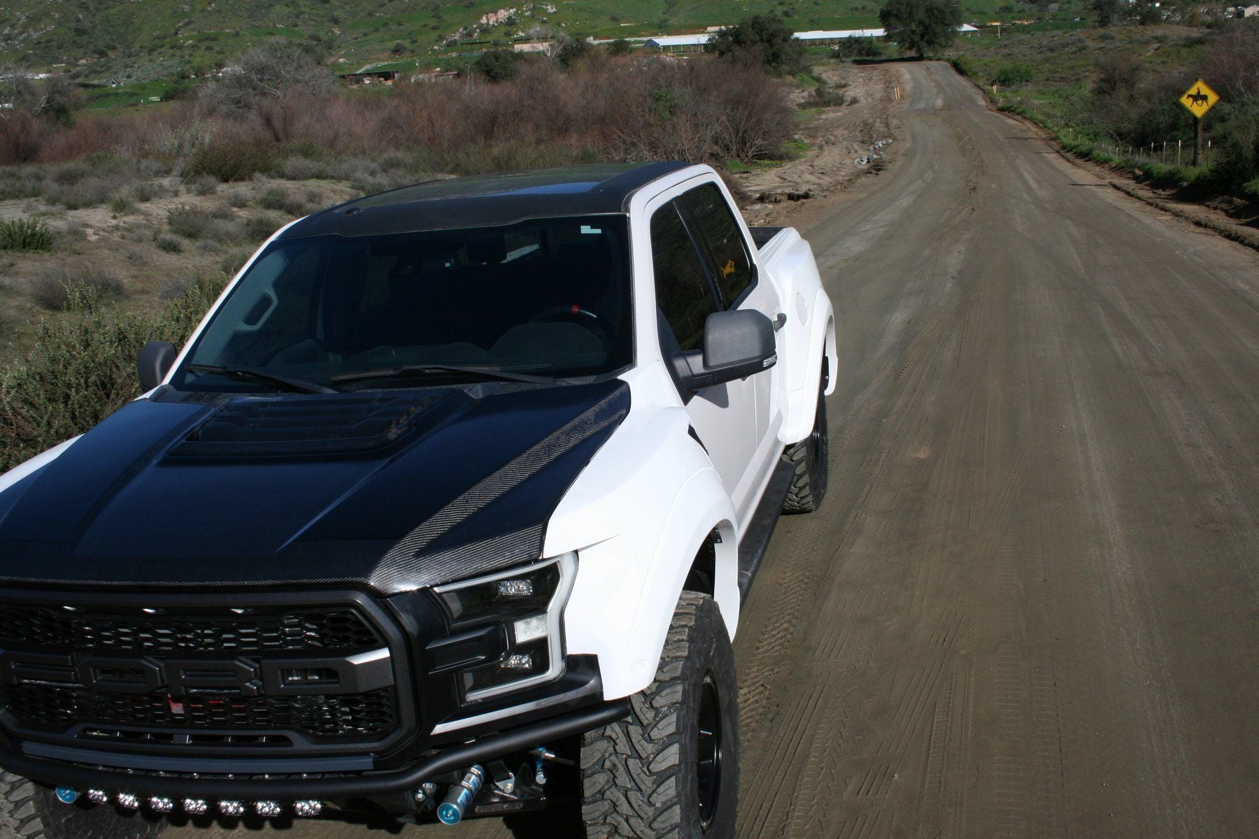 '17-19 Ford Raptor OEM Style Hood Fiberglass Fiberwerx 