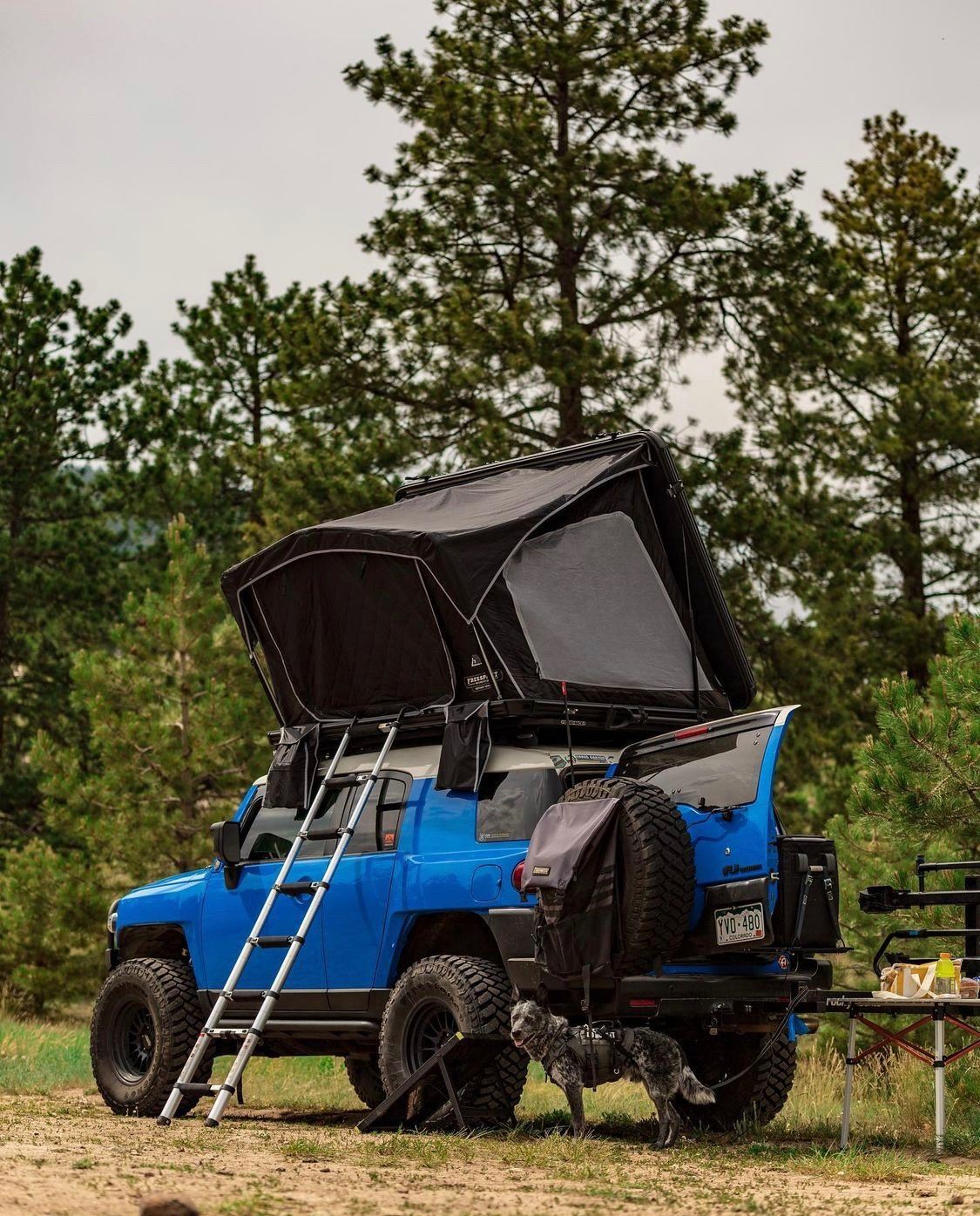 Odyssey Series Hard Top 49" Roof Top Tent w/ Black Top Roof Top Tent Freespirit Recreation display